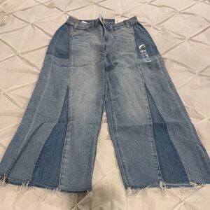American Eagle Outfitters Two-Tone Palazzo Jeans
